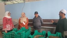 Caption : Ketua TP PKK Kecamatan Bojongsari, Novi Susanti bersama Lurah Bojongsari Baru, Adeyasya Aziza melihat budidaya maggot di wilayah Bojongsari Baru, Bojongsari, Depok. (Dicky)