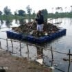 Menggunakan sampan, Kang Yono saat membersihkan sampah di Situ Tujuh Muara Bojongsari Depok. Foto : Istimewa