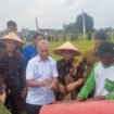 Jaksa Agung Muda Intelijen, Reda Manthovani bersama Menteri Menteri Desa dan Pembangunan Daerah Tertinggal dan Transmigrasi, Yandri Susanto dan seluruh pejabat di lingkup Provinsi Lampung, saat panen raya di wilayah Lampung Tengah. (Dokumen Kejari Lampung Tengah) 