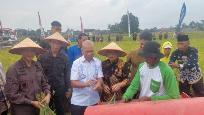 
					Jaksa Agung Muda Intelijen, Reda Manthovani bersama Menteri Menteri Desa dan Pembangunan Daerah Tertinggal dan Transmigrasi, Yandri Susanto dan seluruh pejabat di lingkup Provinsi Lampung, saat panen raya di wilayah Lampung Tengah. (Dokumen Kejari Lampung Tengah) 