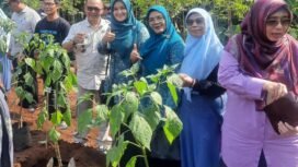 Camat Bojongsari, Rijal Farhan saat mengikuti giatan gerakan Depok menanam cabai serentak di Kelurahan Curug, Bojongsari, Depok.