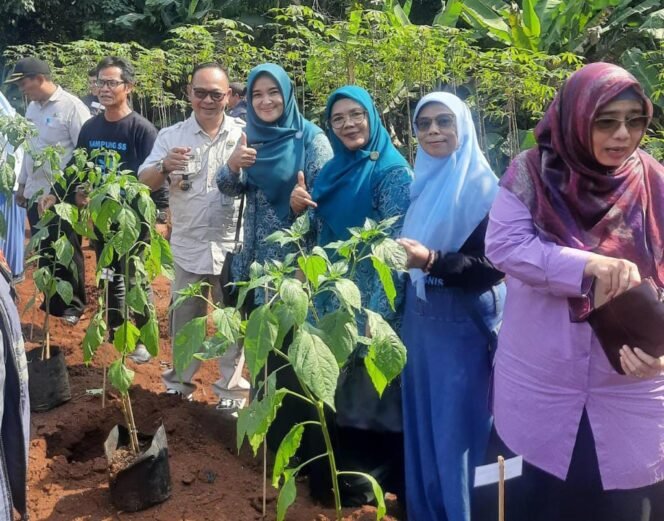 
					Camat Bojongsari, Rijal Farhan saat mengikuti giatan gerakan Depok menanam cabai serentak di Kelurahan Curug, Bojongsari, Depok.