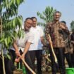 Menteri Lingkungan Hidup, Mohammad Jumhur Hidayat melakukan penanaman pohon di lahan UIII, pada peringatan keanekaragaman hayati internasioal.