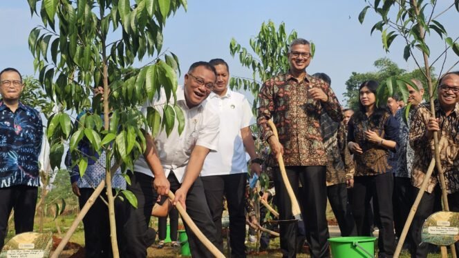 
					Menteri Lingkungan Hidup, Mohammad Jumhur Hidayat melakukan penanaman pohon di lahan UIII, pada peringatan keanekaragaman hayati internasioal.